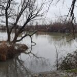 Poluare pe râul Argeș: O firmă din Pitești a aruncat 300 de litri de deșeuri petroliere