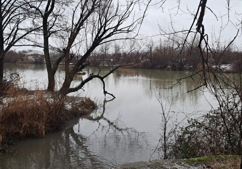 Poluare pe râul Argeș: O firmă din Pitești a aruncat 300 de litri de deșeuri petroliere