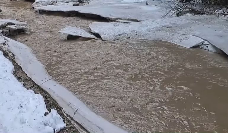 Poluare pe un râu din Făgăraș. Sunt puse în pericol ultimele exemplare de Asprete (Video)