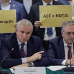 Președintele ASF, în Parlament: City Insurance și Euroins au fost amendate cu 16 milioane de lei. Niciuna nu era Albă ca Zăpada. Ambele erau Muma Pădurii