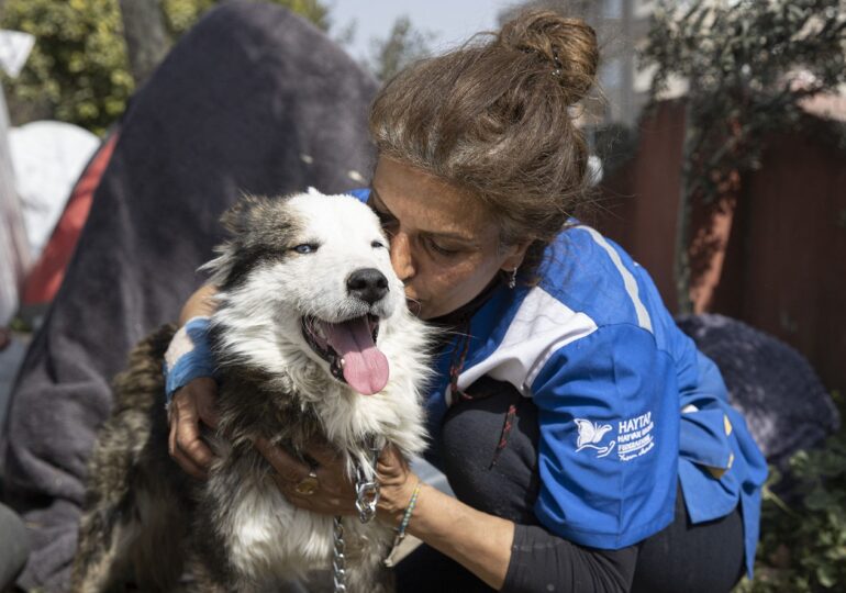 Un câine a fost salvat din ruine la 23 de zile după cutremurul din Turcia (Video)