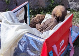 O mumie de 800 de ani a fost găsită în geanta unui fost curier: "Juanita doarme cu mine" (Video)
