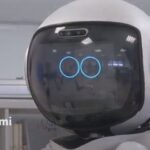 Germania se va baza pe roboți pentru îngrijirea bătrânilor. Concret, ce vor putea face mașinăriile (Video)