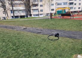 Niște puști au distrus tiroliana pusă cu fonduri UE într-un parc nou din Râmnicu Vâlcea