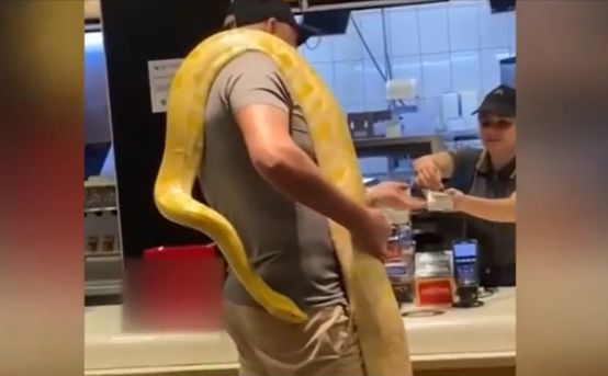 Un bărbat din Târgu Mureș s-a dus la restaurant cu un piton încolăcit în jurul său (Video)