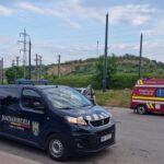 Un urs a fost semnalat în zona industrială a Vasluiului