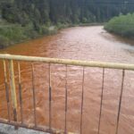 Poluare masivă pe râul Bistrița (Video) UPDATE Cât de gravă e situația și primele amenzi