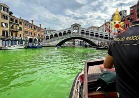 Mister deslușit: Ce a colorat în verde fluorescent apa din Veneția