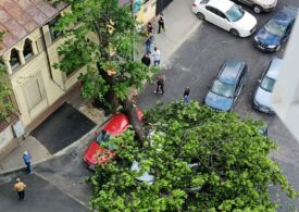 Un vânt puternic iscat în București a provocat pagube mari: mașini avariate, o persoană a fost lovită de un copac, zeci de intervenții (Foto)