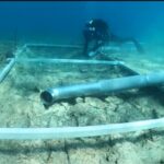 Un drum vechi de 7.000 de ani a fost găsit pe fundul Mării Adriatice. E doar cireașa de pe tort! Descoperirile în zonă sunt spectaculoase (Video)