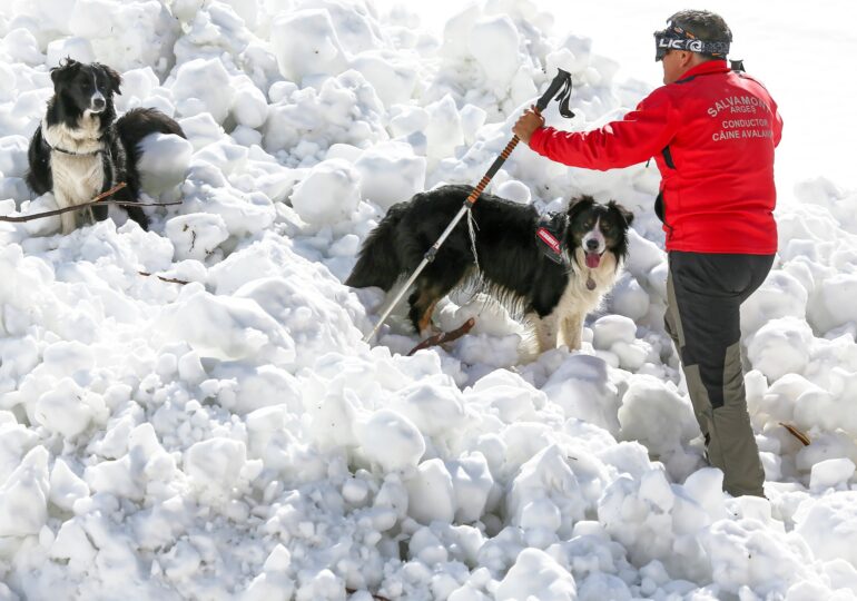 E risc crescut de avalanșă în Făgăraș și Bucegi. Patru persoane au fost salvate în ultimele 24 de ore