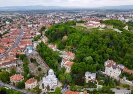 Brașov: Un urs care intra în oraș a fost capturat