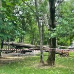 O femeie a fost rănită de un copac care a căzut în parcul IOR din Capitală