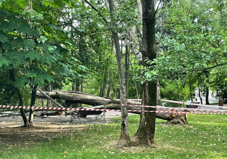 O femeie a fost rănită de un copac care a căzut în parcul IOR din Capitală