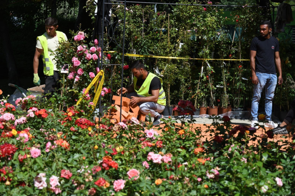 West Side Flower Fest