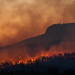 România se află pe locul al doilea în Europa la pagubele provocate de incendiile de pădure