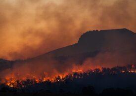 România se află pe locul al doilea în Europa la pagubele provocate de incendiile de pădure