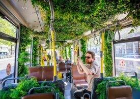 Orașul din Europa în care circulă un tramvai transformat în grădină (Foto)