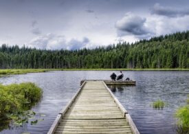 S-a pierdut într-un parc și a fost găsită după două zile