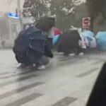 Ciclonul Talim lovește puternic: Zeci de mii de persoane evacuate, valuri de 6 metri, zboruri anulate și tranzacții pe bursă suspendate (Video)