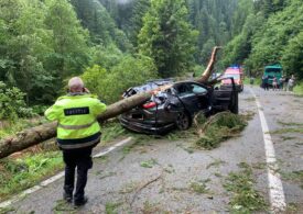 Furtuna a rupt copaci și i-a azvârlit pe mașini. O femeie din București a murit, pe Valea Sebeșului. Traficul e blocat <span style="color:#990000;">UPDATE</span>