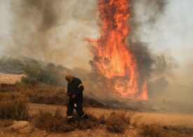 Mărturii din infernul din Rodos, unde zborurile au fost anulate, iar turiștii au dormit în cutii de carton: "Am putut vedea focul venind peste deal. A fost foarte, foarte înfricoșător!" (Video)