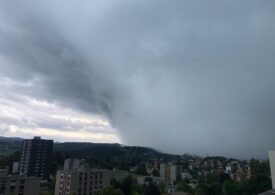O furtună cu vânturi de peste 200 de km/h a devastat zona Neuchâtel (Foto&Video)
