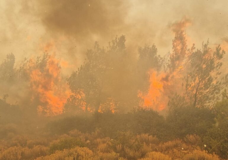 Grecia se confruntă cu cel mai mare incendiu înregistrat vreodată în UE