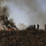 UPDATE Incendiu masiv lângă București, întins pe 10 hectare. Anunț despre direcția și toxicitatea norului de fum (Galerie foto & Video)