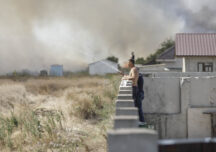 Incendiu de vegetație în Măgurele - lupta cu flăcările