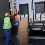 Comisia Europeană ar putea subvenționa transportul cerealelor ucrainene pe teritoriul UE (Bloomberg)