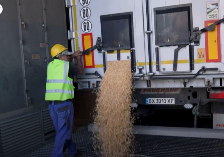 Comisia Europeană ar putea subvenționa transportul cerealelor ucrainene pe teritoriul UE (Bloomberg)