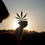 Germania relaxează regulile privind deținerea de cannabis: Condițiile care trebuie respectate