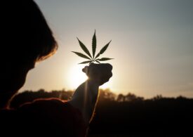 Germania a legalizat consumul de cannabis în scop recreațional