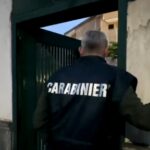 Cum a ajutat un caniș la prinderea unui lider al mafiei napolitane (Video)