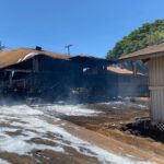 Numărul celor uciși în Hawaii a crescut la 80. Anchetă pe intervenția autorităților la cel mai mare dezastru natural din istoria statului (Foto&Video)