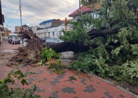Furtuni de o violență „fără precedent” în țară: copaci căzuți, autoturisme și case avariate (Foto&Video)