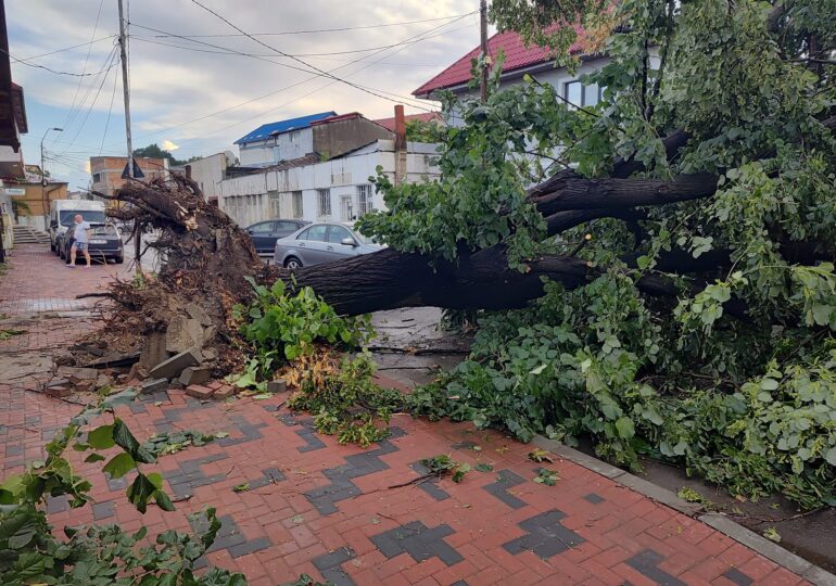 Furtuni de o violență „fără precedent” în țară: copaci căzuți, autoturisme și case avariate (Foto&Video)