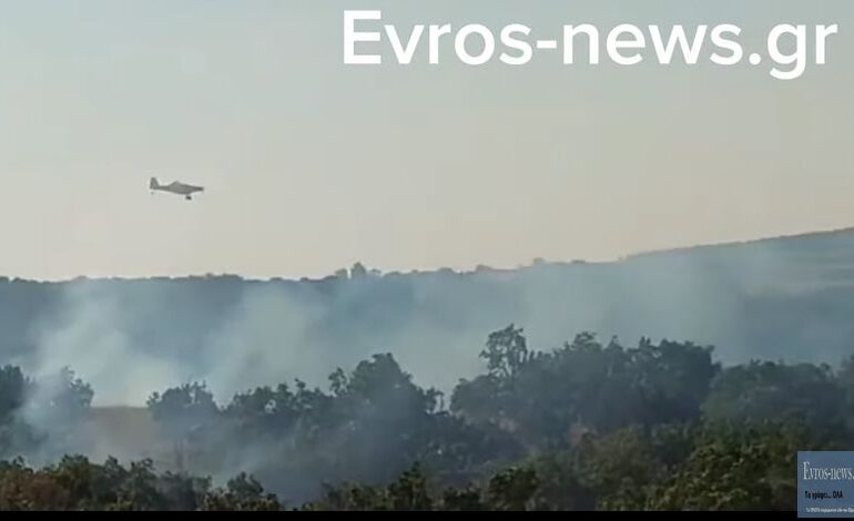 Incendii în Grecia: Opt sate au fost evacuate, focul se deplasează spre aeroportul orașului Alexandroupolis