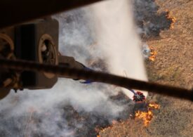 53 de morți și 1.700 de clădiri distruse de foc în Maui. Mărturii din Infern: "Se auzea ca și cum ar fi fost un război" (Video)