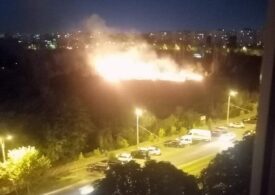 Incendiu puternic în parcul IOR din București (Foto&Video)