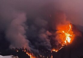 Incendiu puternic în Tenerife: Mii de oameni fug în timp ce pompierii se luptă cu flăcările scăpate de sub control (Foto & Video)