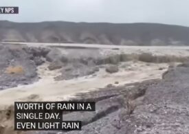 Cutremur și prima furtună tropicală din ultimii 84 de ani în California. Deșerturile sunt măturate de ape, școli închise și peste 1.000 de zboruri anulate de Hilary: "Nu am mai văzut niciodată așa ceva!" (Video)