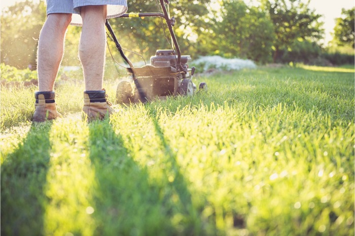 5 unelte utile în curte pentru îngrijirea spațiului verde