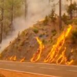 Incendiu uriaș scăpat de sub control în Tenerife. Ard peste 1.600 de hectare (Video)