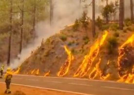 Incendiu uriaș scăpat de sub control în Tenerife. Ard peste 1.600 de hectare (Video)
