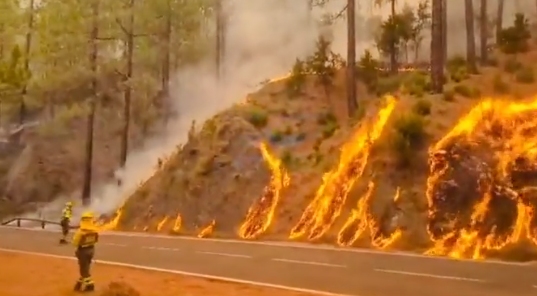 Incendiu uriaș scăpat de sub control în Tenerife. Ard peste 1.600 de hectare (Video)