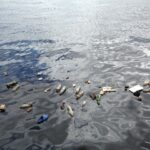 Marea Neagră este plină de deșeuri din plastic – Garda de Mediu a dat amenzi de 3 milioane de lei pe litoral