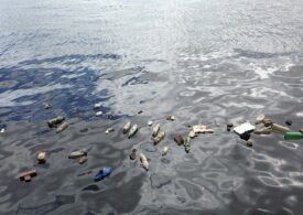 Marea Neagră este plină de deșeuri din plastic - Garda de Mediu a dat amenzi de 3 milioane de lei pe litoral