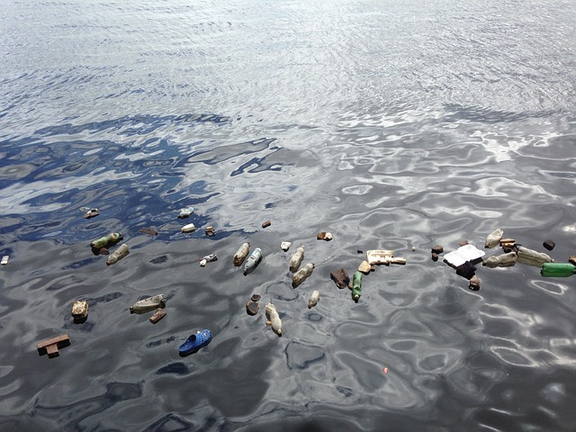 Marea Neagră este plină de deșeuri din plastic - Garda de Mediu a dat amenzi de 3 milioane de lei pe litoral